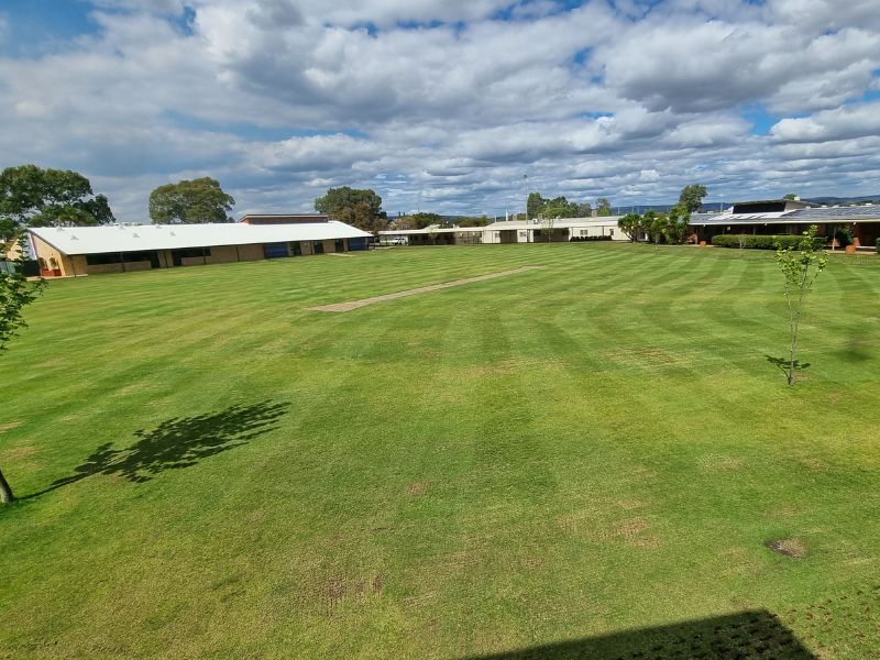 Turf maintenance for schools in Perth