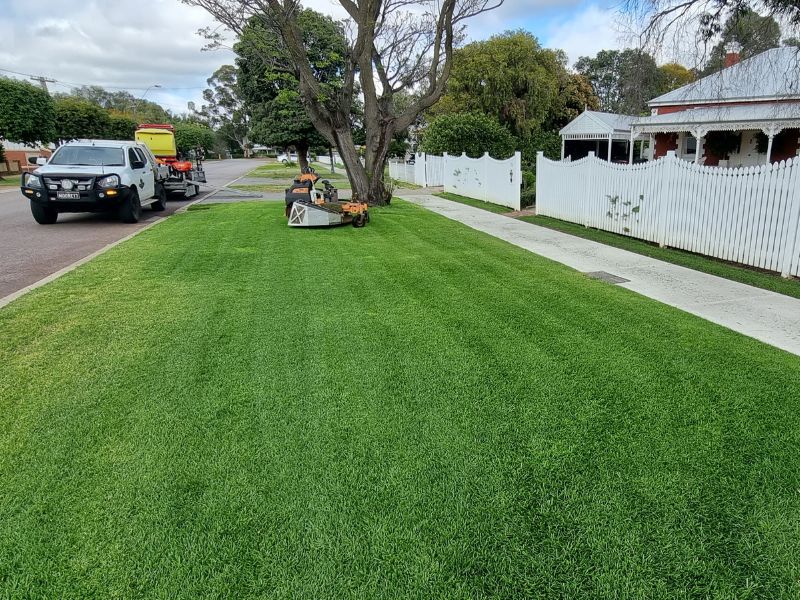 Professional lawn and turf maintenance in Perth